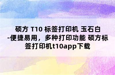 硕方 T10 标签打印机 玉石白-便捷易用，多种打印功能 硕方标签打印机t10app下载